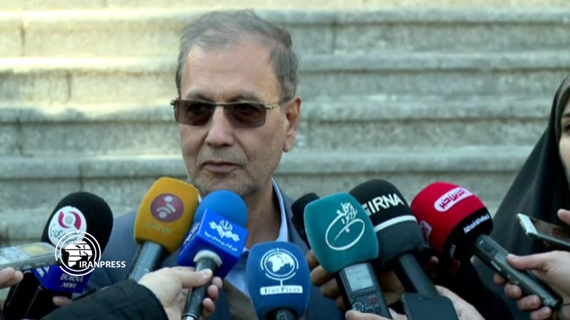 Iranpress: Election guarantees the stability of Iran: Rabiei