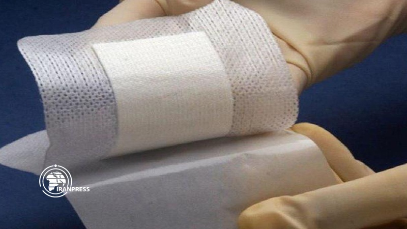Iranpress: Iranian researchers make biological wound dressing
