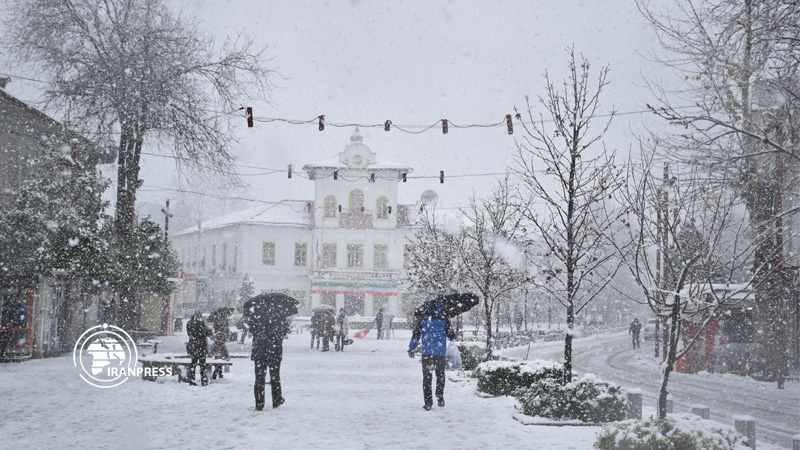 Iranpress: Photo: Winter snow whitened the city of Rasht