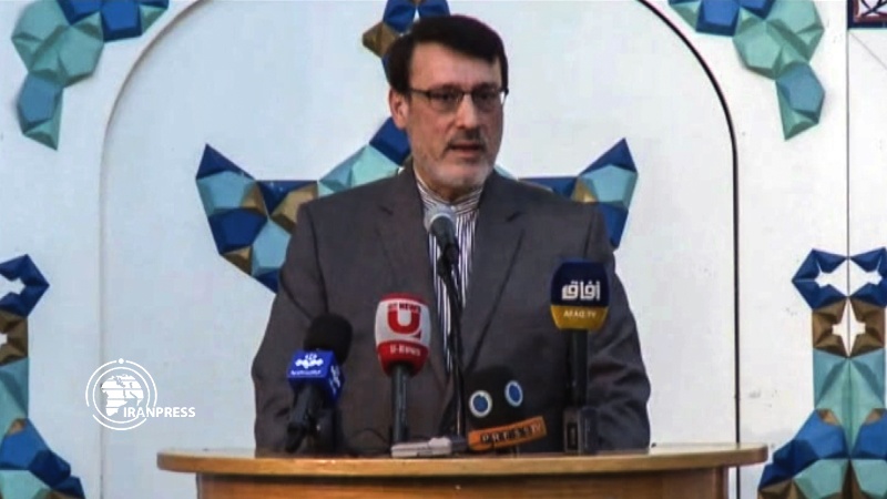 Iranpress: Iranian still supports Islamic Revolution after 41 years: Ambassador 