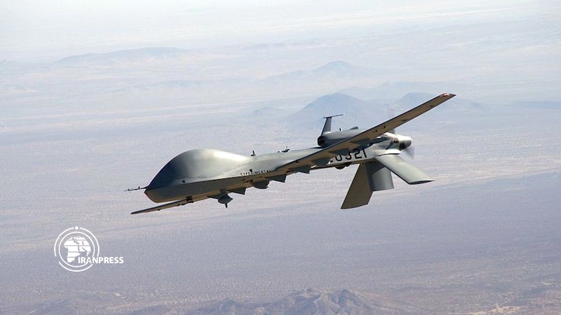 Iranpress: A civilian martyred in Israeli drone attack in Quneitra countryside