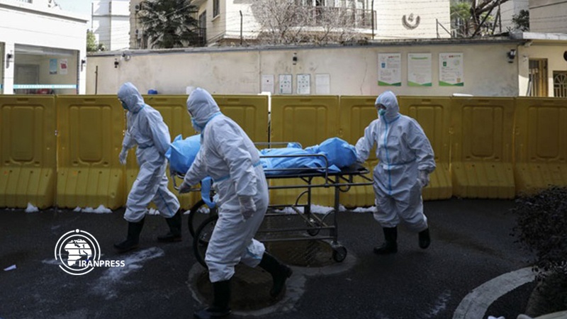 Iranpress: Iran confirms 13 more coronavirus cases