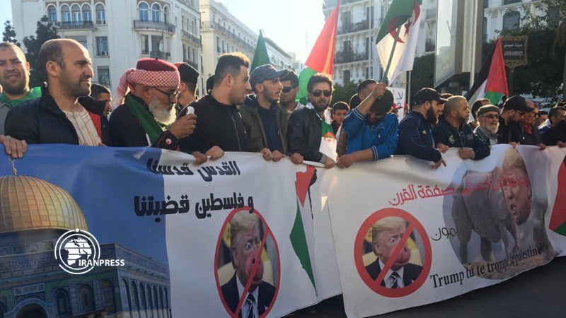 Iranpress: Algerians protest US-Israeli 
