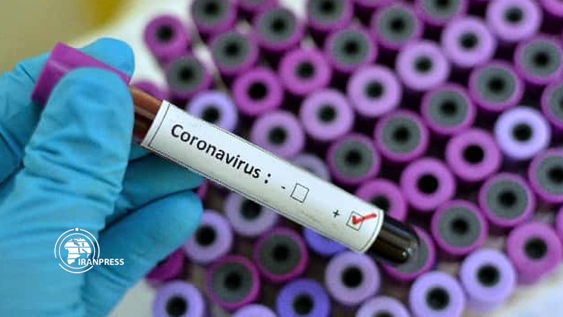 Iranpress: Envoy: Russia donates 50,000 coronavirus test kits to Iran