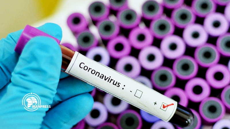 Iranpress: Iran daily conducting 10,000 coronavirus diagnosis tests