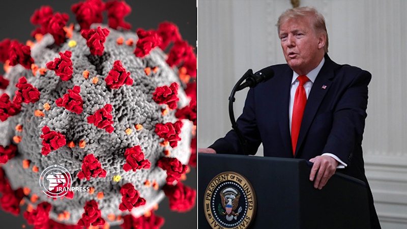 Iranpress: The US has 564 cases of the coronavirus
