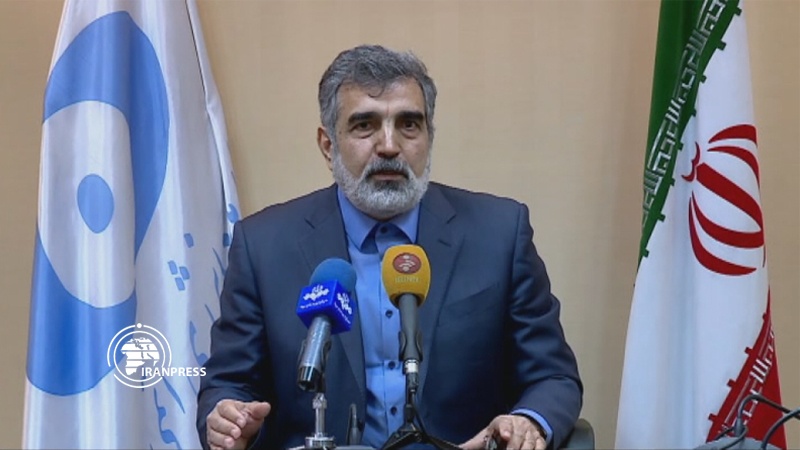 Iranpress: AEOI spox: IAEA’s status legal, not political