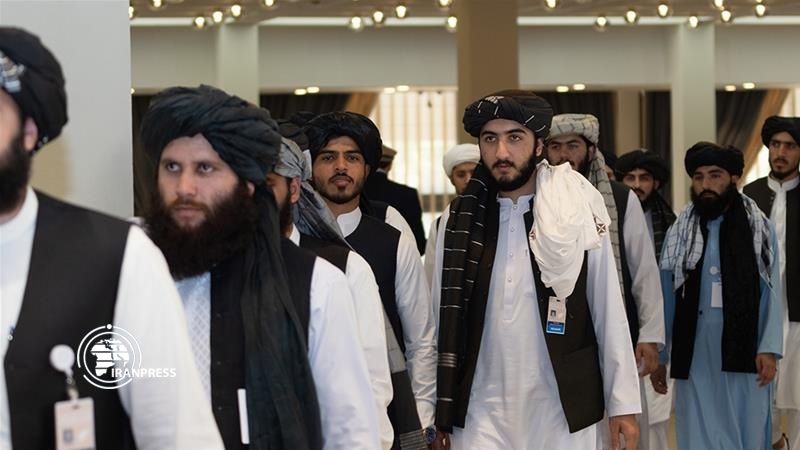 Iranpress: Taliban rejects Ramadan ceasefire in Afghanistan