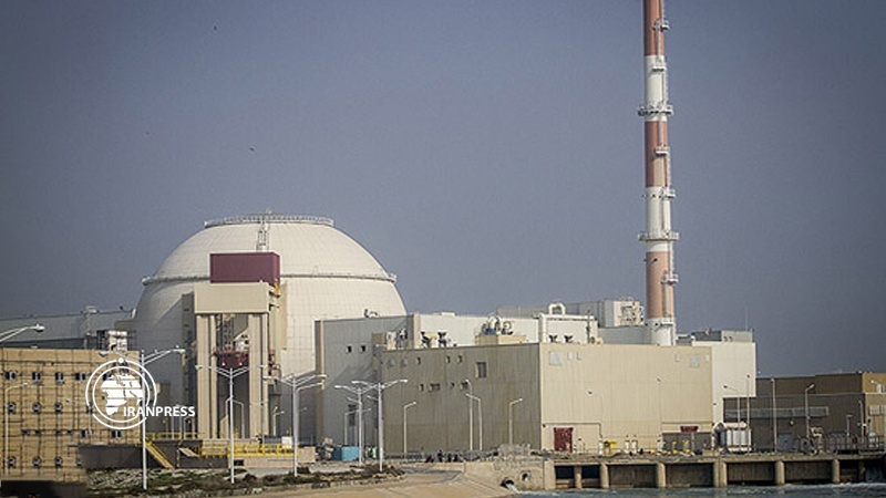 Iranpress: New fuel cargo enters Bushehr Nuclear Plant, southern Iran