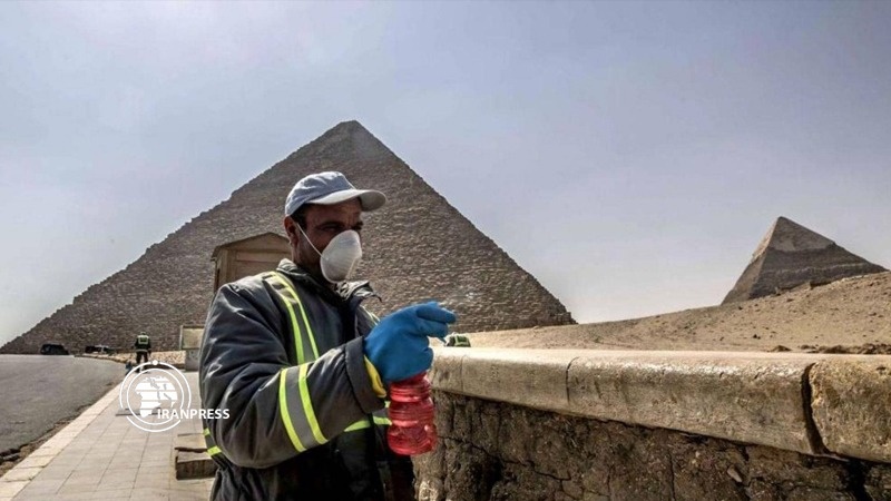Iranpress: Coronavirus hits Egypt