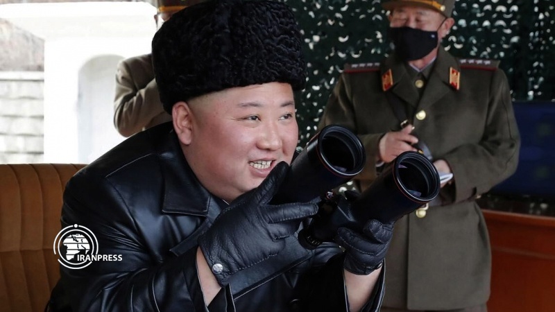 Iranpress: North Korean leader, in grave danger: US media