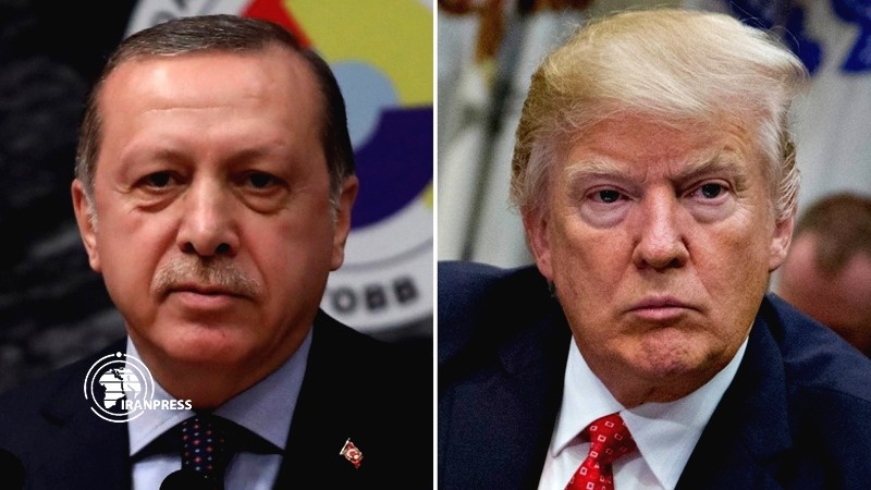 Iranpress: Turkish, US leaders agree on cooperation in virus crisis