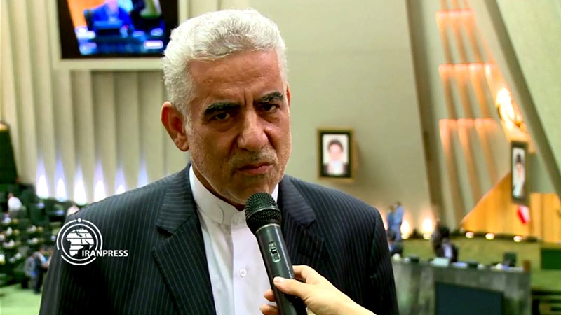 Iranpress: Support of Palestine, permanent strategy of Iran: Lawmaker