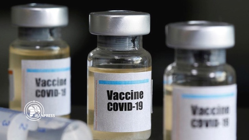 Iranpress: China successfully tests COVID-19 vaccine on monkeys