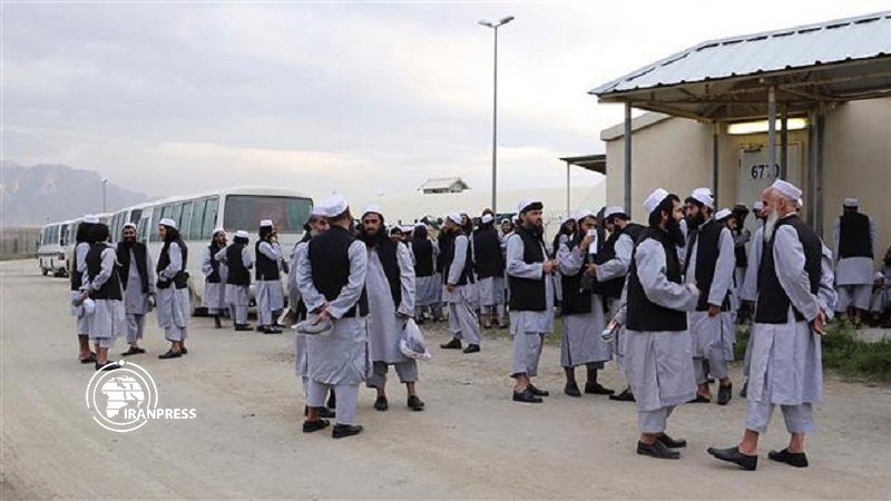 Iranpress: 900 Taliban prisoners to be released early