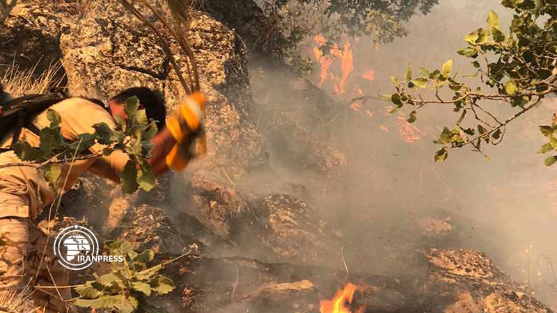 Iranpress: Khayiz protected area  in South western Iran is on fire