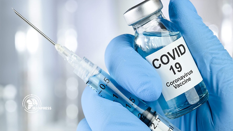 Iranpress: Russia, Turkey talk about development of coronavirus vaccine