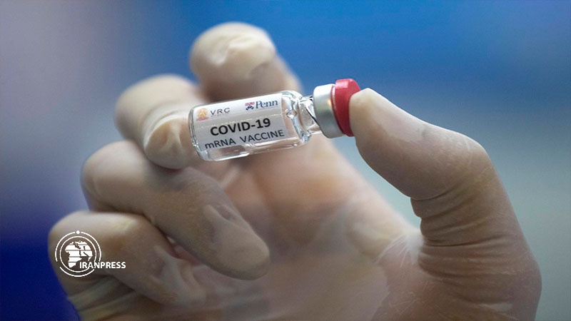 Iranpress: Turkey, Russia to work on COVID-19 vaccine