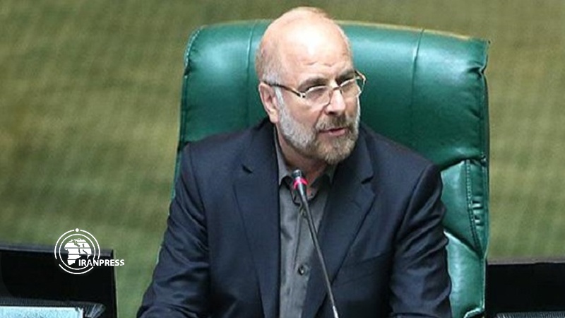 Iranpress: Iraqi parliament speaker expressses desires to develop ties with Iran