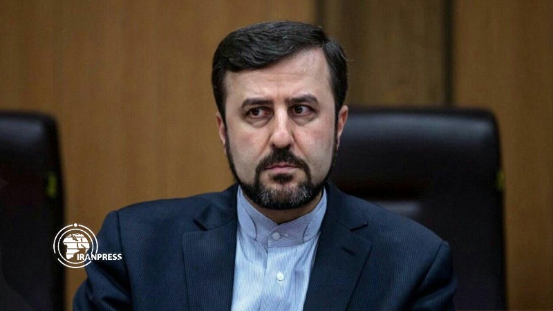 Iranpress: Iran expresses concern over US and French violations of nuclear commitments