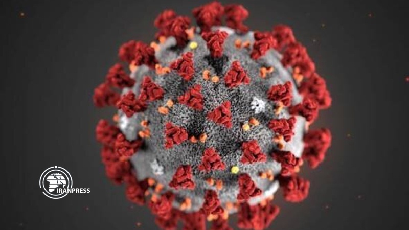 Iranpress: US hits record high for new  Coronavirus cases