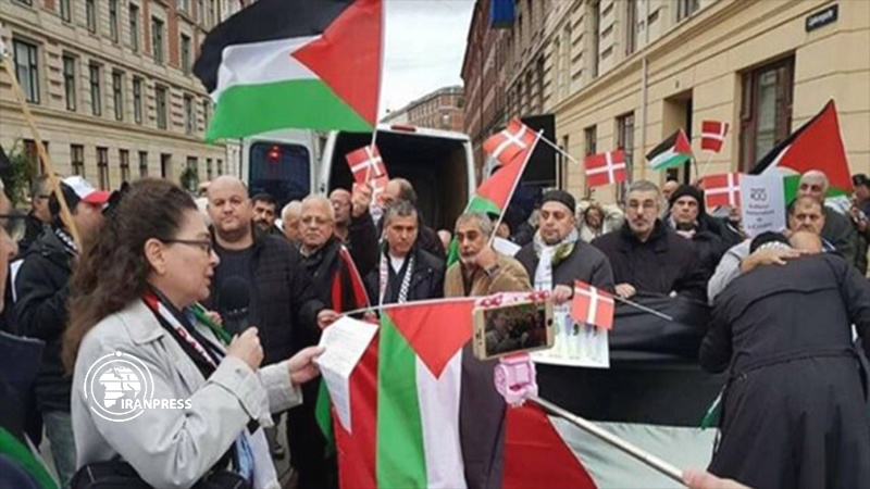 Iranpress:  Danish people protest against West Bank annexation plan