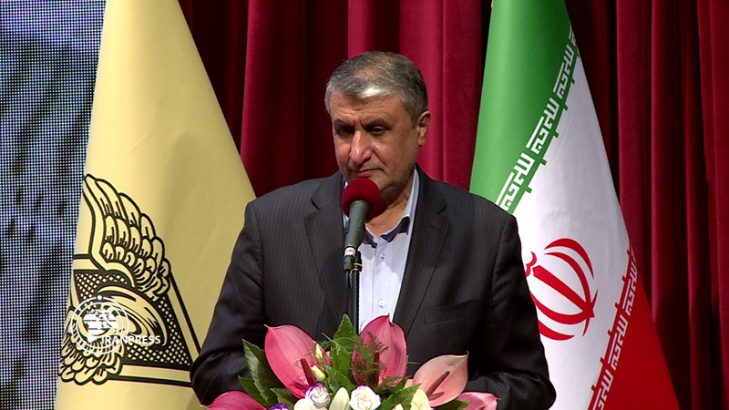 Iranpress: Iran seeks door-to-door distribution of foods: Minister