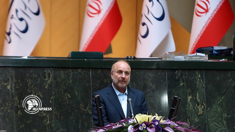 Iranpress: Speaker unveils package of solving economic problems in presence of Leader