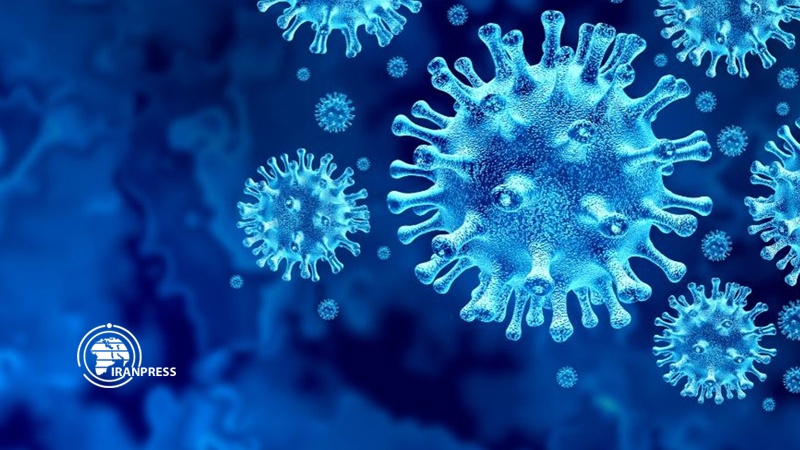 Iranpress: Six types of COVID-19 identified as world records 1 million Coronavirus cases in 100 hours