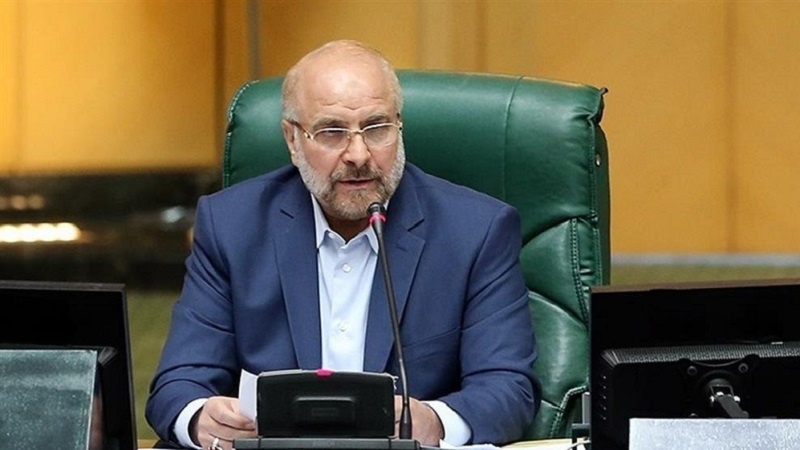 Iranpress: Parliament puts people-oriented economy on agenda: Speaker