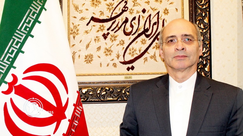 Iranpress: Iran criticizes OPCW
