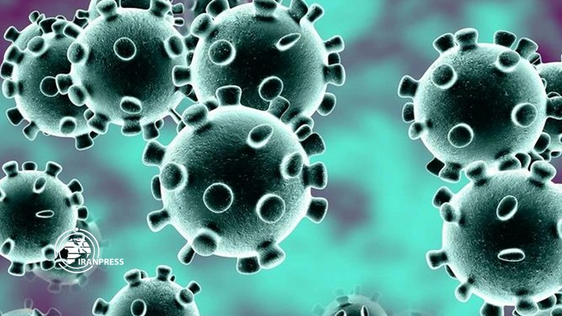 Iranpress: Coronavirus death toll reached 9,125 in Germany