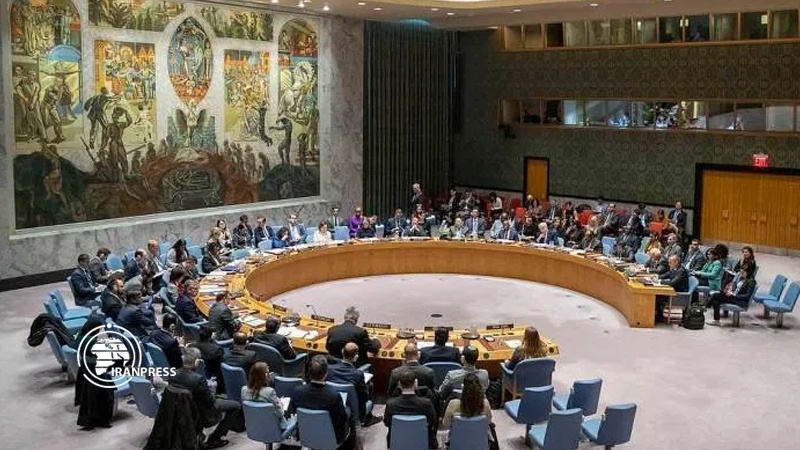 Iranpress: UNSC rejected Russia