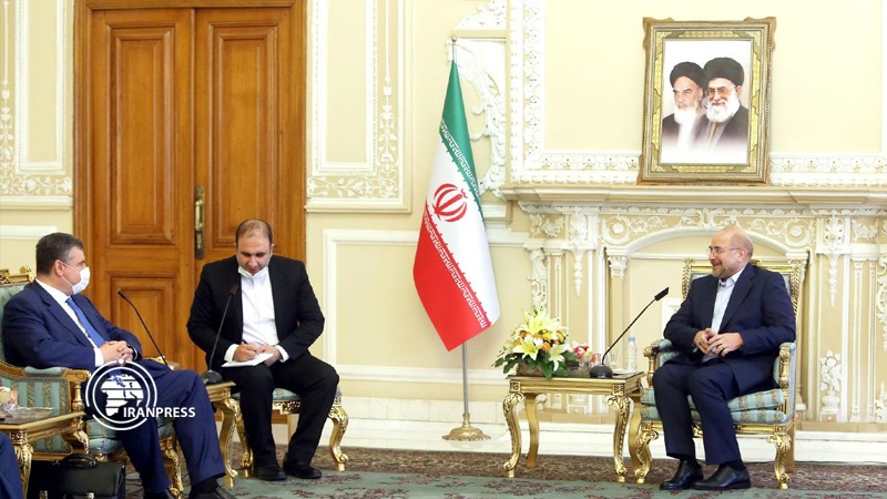 Iranpress: Iran expresses readiness to expand parliamentary cooperation with Russia