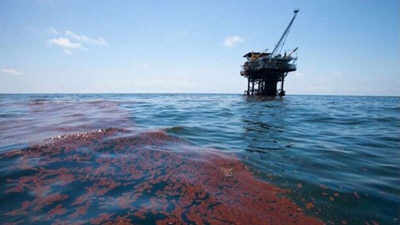 Iranpress: Oil contamination around Persian Gulf cleaned up