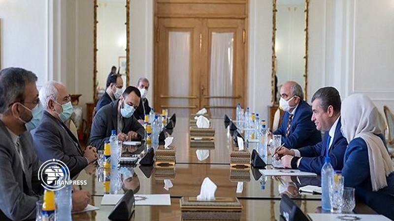 Iranpress: Russian senior official meets Iran