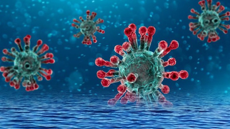 Iranpress: Scientists figure out new important weakness of COVID-19: water