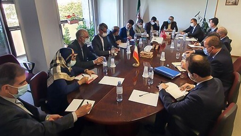 Iranpress: Geneva | Iran, Turkey confer on Syrian-Syrian dialogue