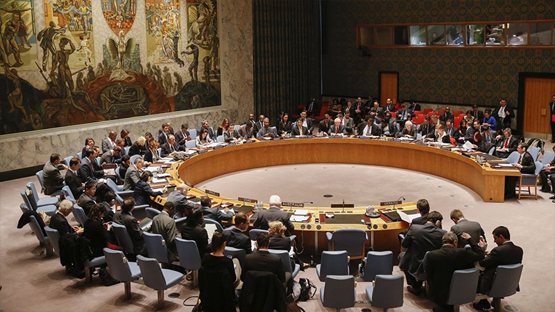 Iranpress: UN Security Council condemns mutiny in Mali
