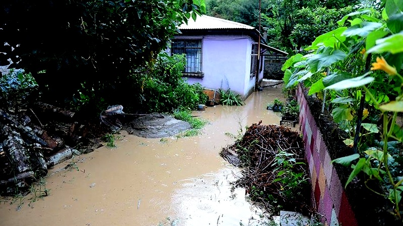 Iranpress: Floods kill 4 in Turkey Black Sea region