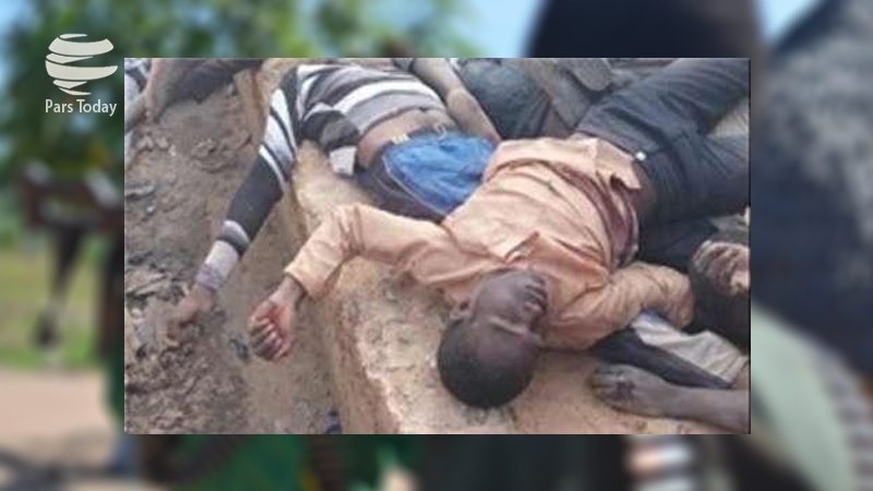 Iranpress: شمار کشته شدگان قتل عام کنگو به 22 نفر رسید