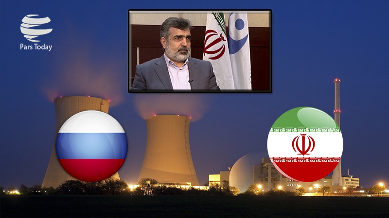 Iranpress: توسعه همکاری های هسته ای ایران و روسیه