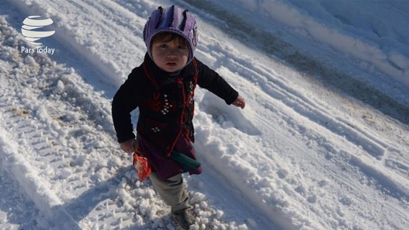 Iranpress: بارش برف و برودت هوا موجب مرگ 27 کودک افغان شد
