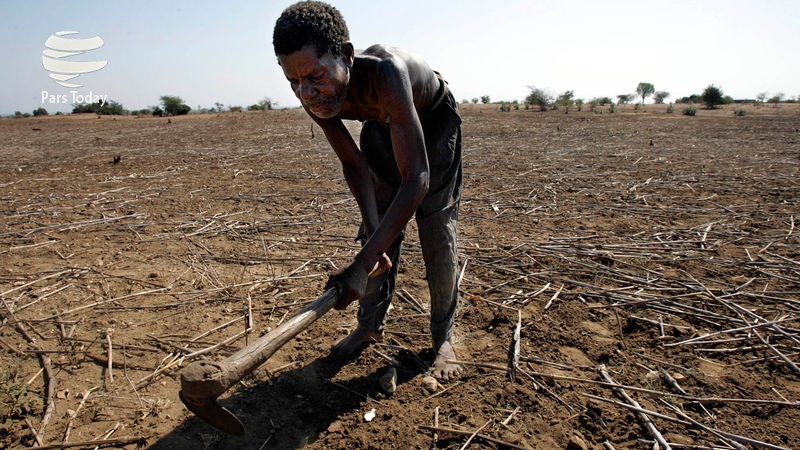 Iranpress: هشدار برنامه جهانی درباره گسترش قحطی در جنوب قاره آفریقا