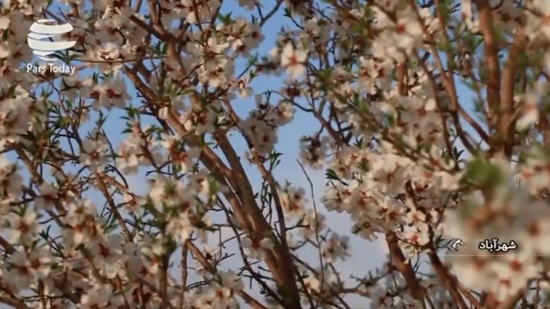 ایران پرس: نماهنگ: بهار در شهرآباد 