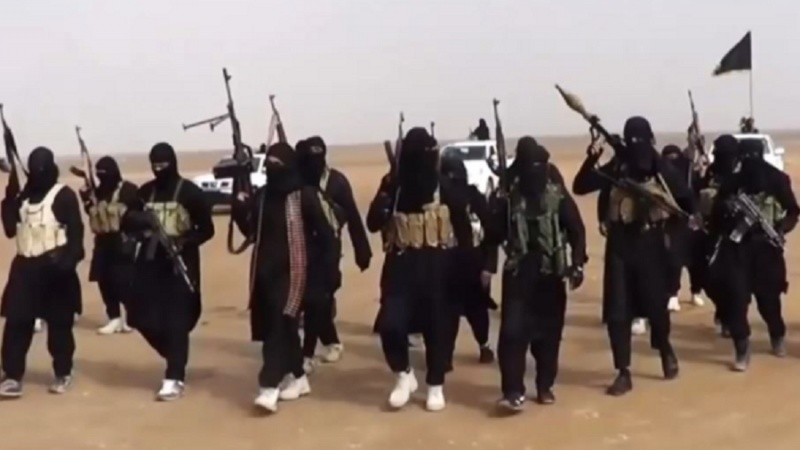 Iranpress: افزایش نگرانی‌ها درباره بازگشت داعش در عراق و سوریه