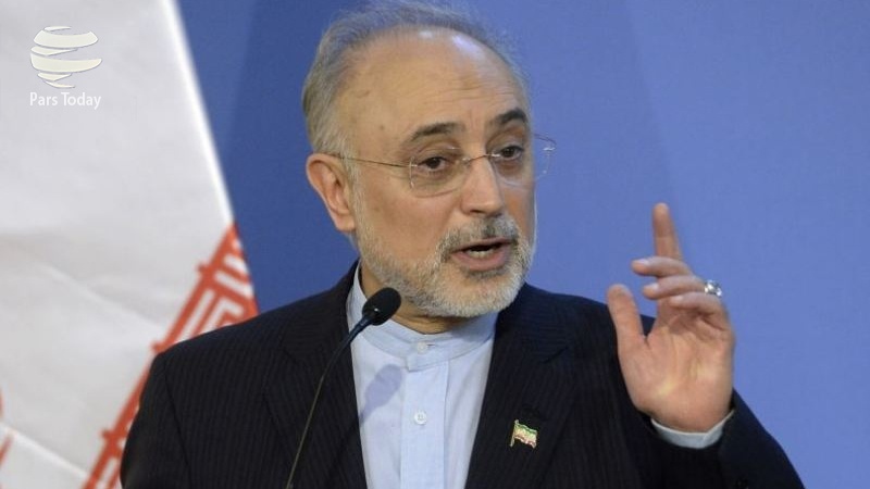 ایران پرس: صالحی خبرداد؛ ساخت دونیروگاه جدید در بوشهر