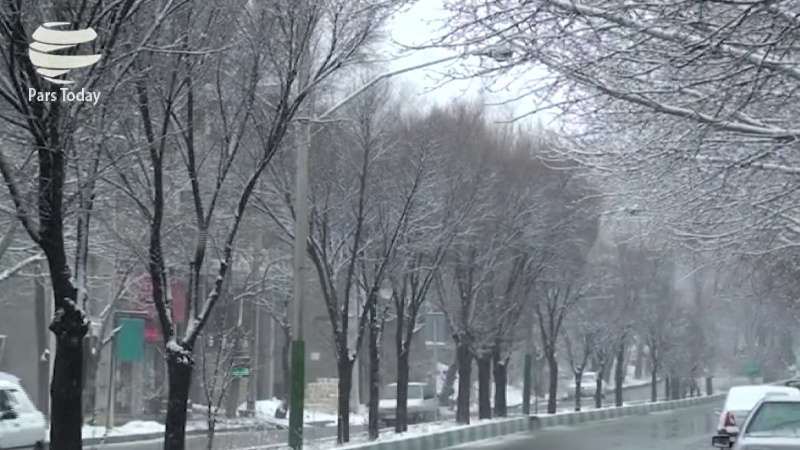 Iranpress: بارش برف در آستانه بهار/ ویدئو
