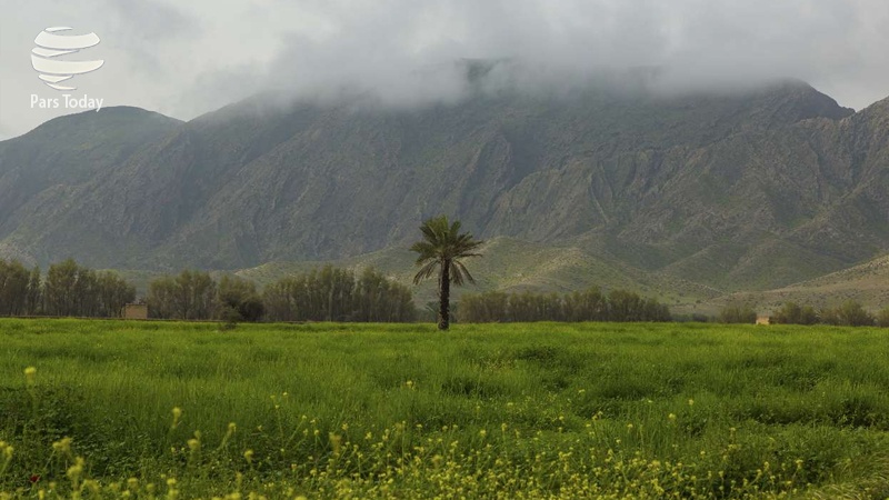 ایران پرس: تصاویر: طبیعت دشت کاریان