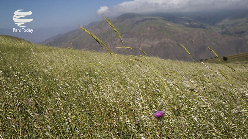 ایران پرس: تصاویر: روستای کلشتر و توربین‌های بادی منجیل